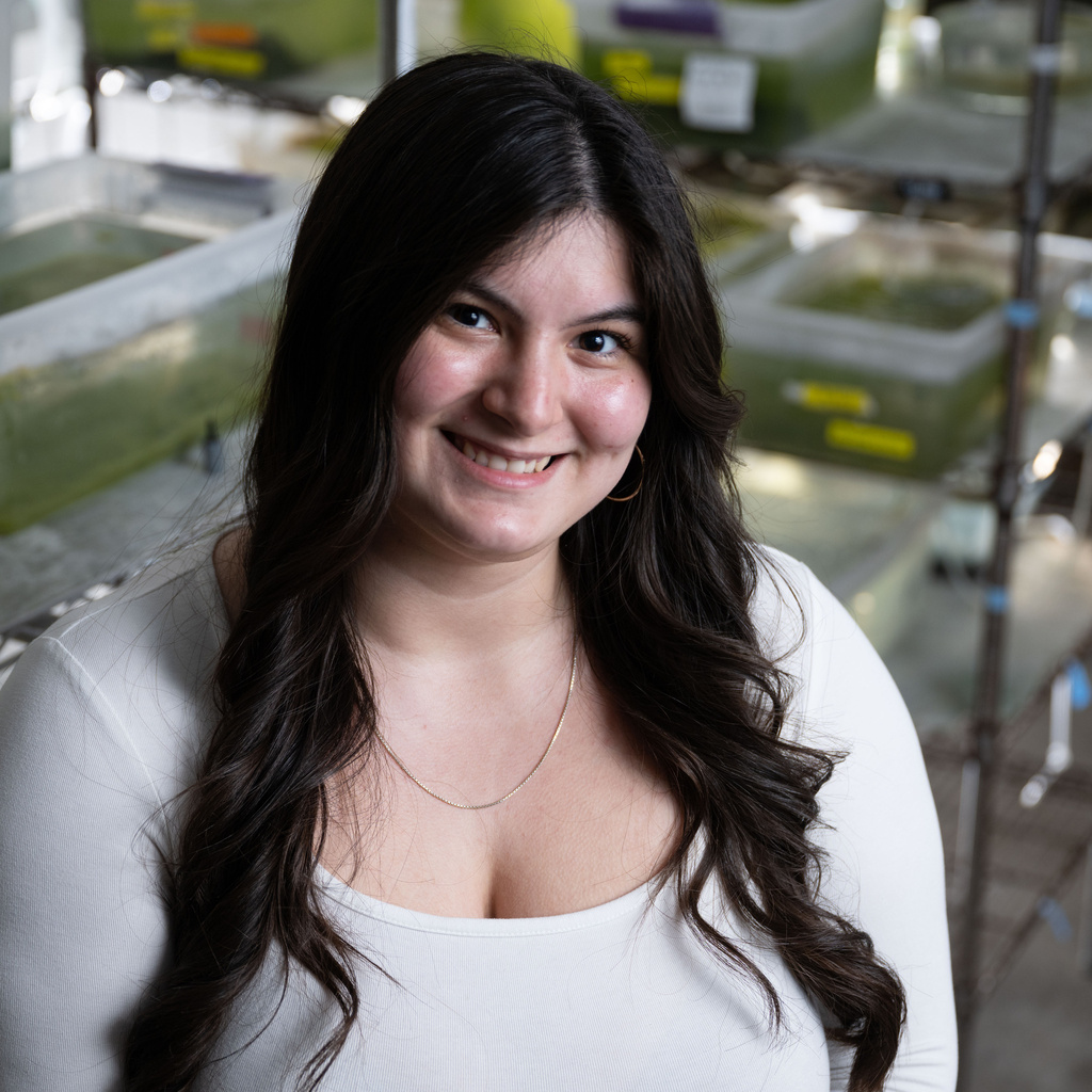 A promotional image from the University of Iowa featuring a blurred-out person with long dark hair, wearing a white top. The background shows a laboratory setting with various equipment. The top left corner has the word 'IOWA' in bold yellow letters on a black background. Below it are icons representing different scientific fields.